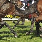 纽马克特赛马场 (Newmarket Racecourse)