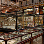 Pitt Rivers Museum (皮特里斯博物馆)