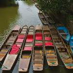 Boat Tour Oxford (乘船游览牛津)