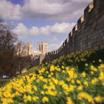 约克城墙节(York Walls Festival)