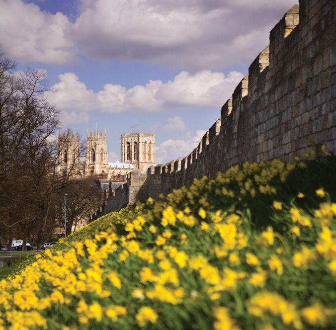 York City Walls