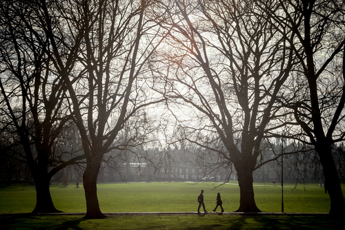 Cambridge Jesus Green