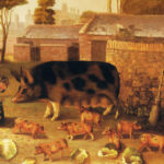 The Ginger Pig